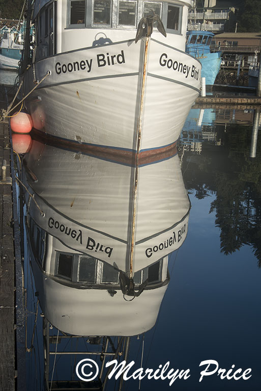 Reflections of a fishing boat, Yaquina Bay harbor, Newport, OR