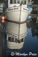 Reflections of a fishing boat, Yaquina Bay harbor, Newport, OR