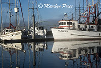 Fishing boats in Yaquina Bay harbor, Newport, OR