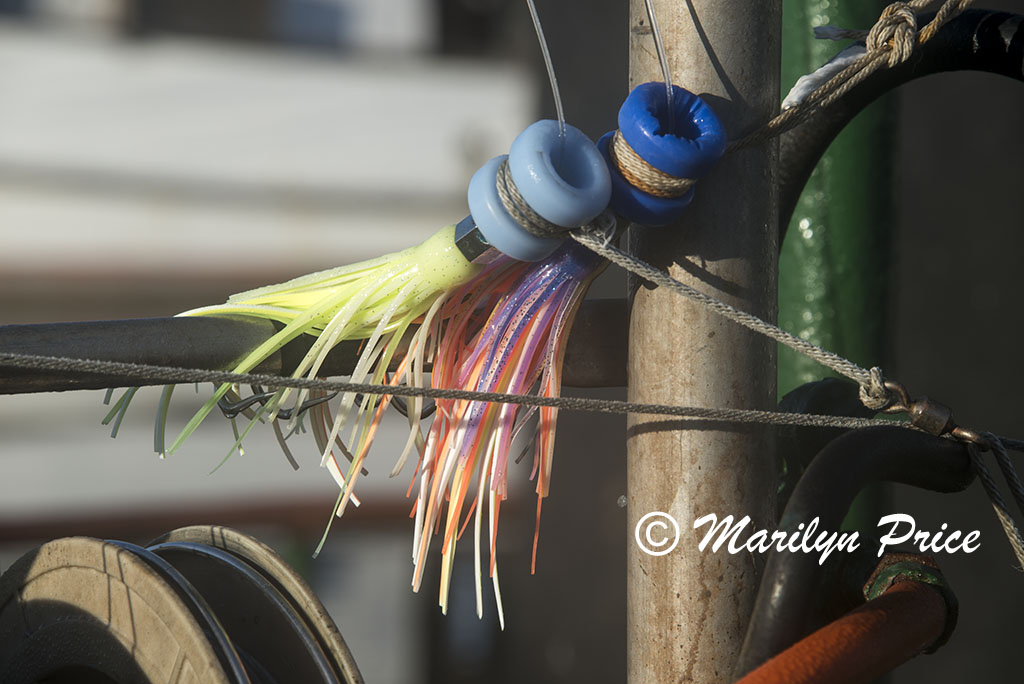 Lures, Yaquina Bay harbor, Newport, OR