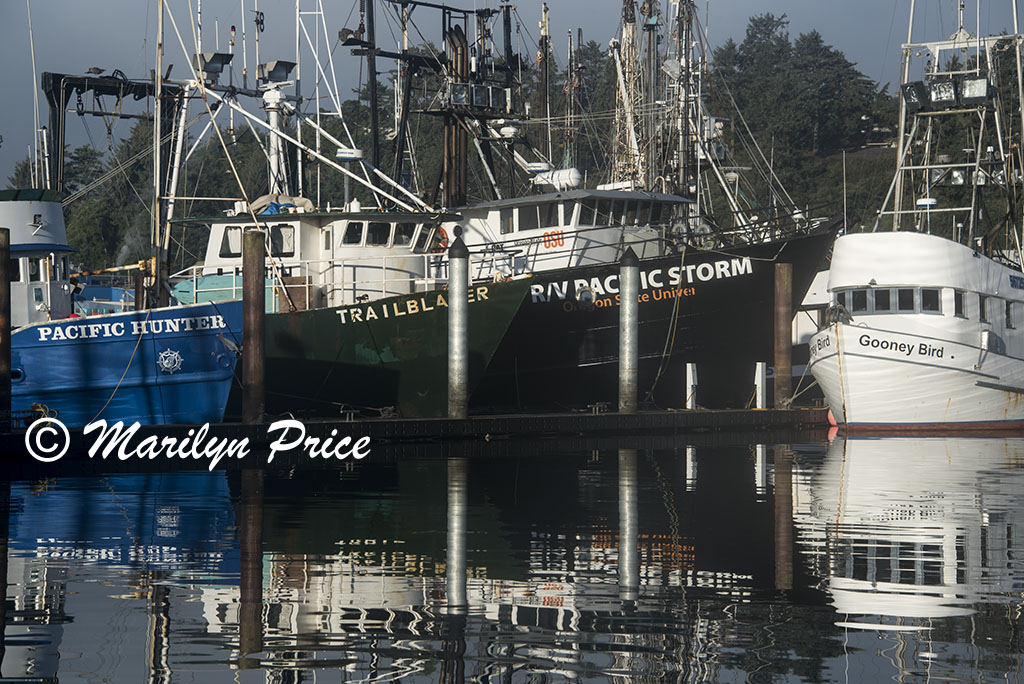 Fishing boats in Yaquina Bay harbor, Newport, OR
