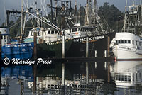 Fishing boats in Yaquina Bay harbor, Newport, OR