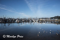 Fishing boats in Yaquina Bay harbor with bridge and incoming fog in background, Newport, OR