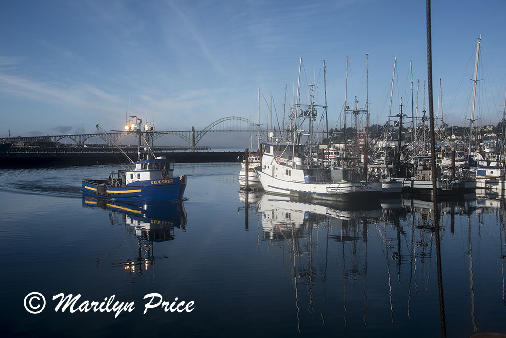 Fishing boat coming in to dock to offload its catch, Yaquina Bay harbor, Newport, OR