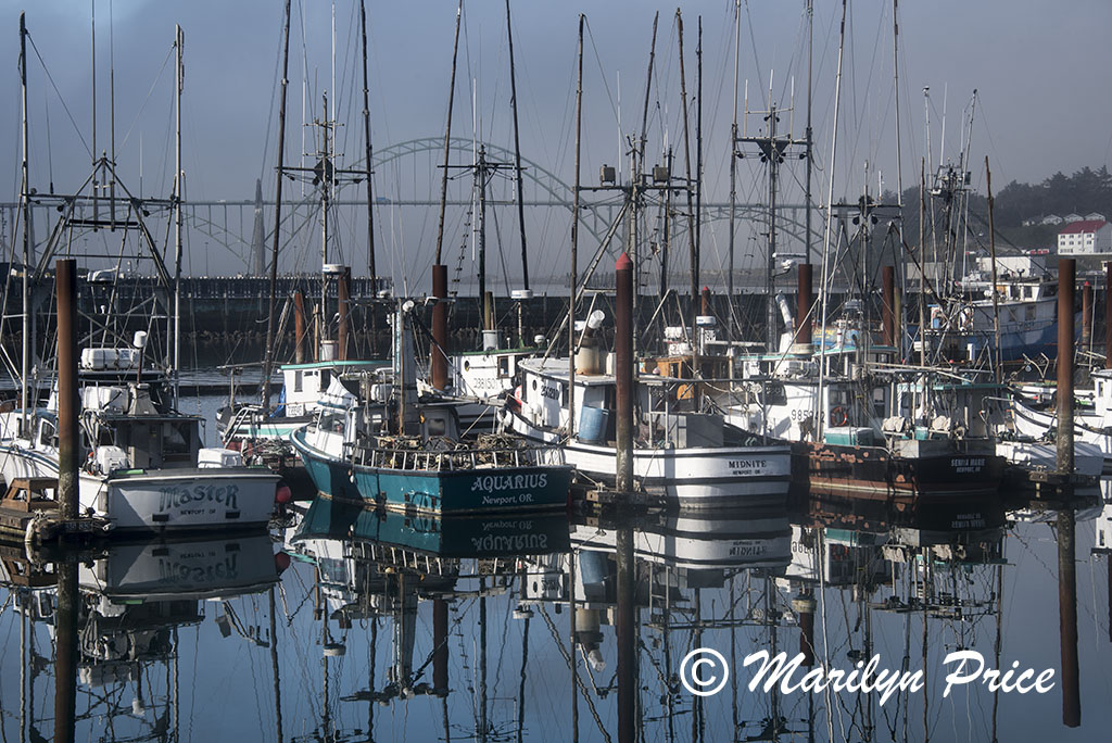 Fishing boats in Yaquina Bay harbor with bridge and incoming fog in background, Newport, OR