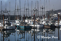 Fishing boats in Yaquina Bay harbor with bridge and incoming fog in background, Newport, OR