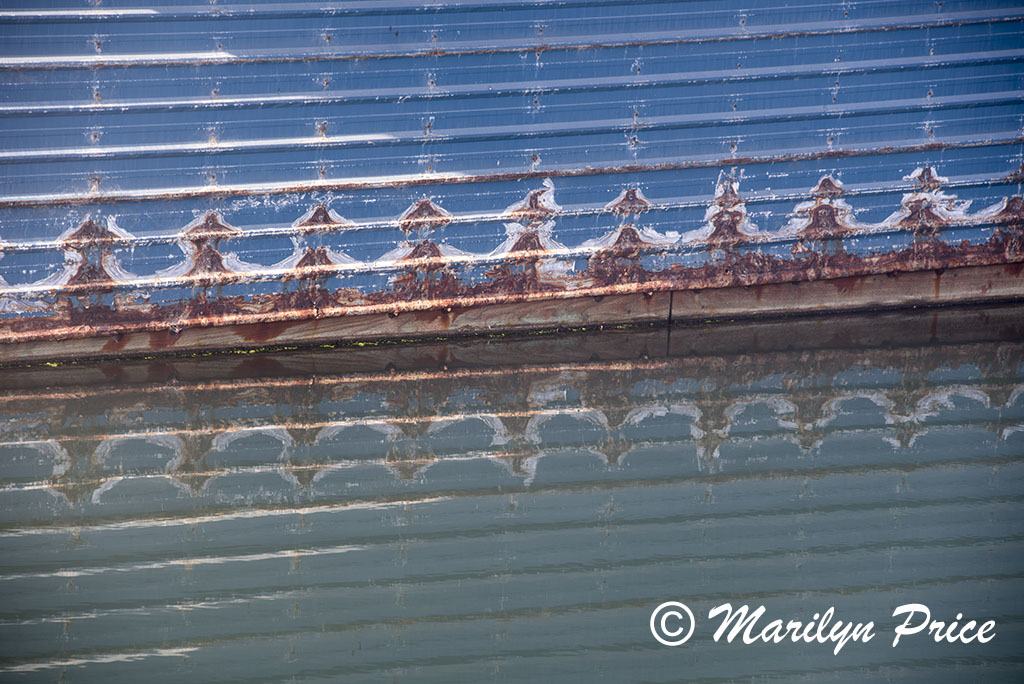 Rust patterns on the side of a floating building, Yaquina Bay harbor, Newport, OR