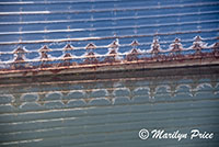 Rust patterns on the side of a floating building, Yaquina Bay harbor, Newport, OR