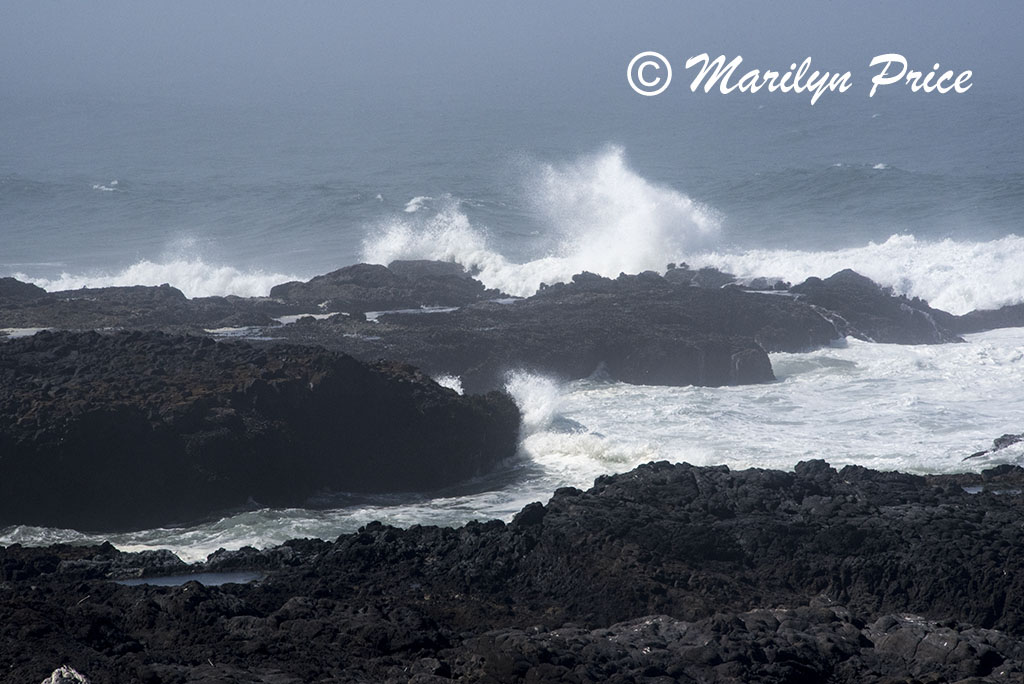 Waves, Captain Cook Point, Cape Perpetua, OR