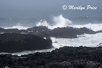 Waves, Captain Cook Point, Cape Perpetua, OR