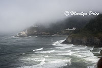 Fogged in Heceta Head Lighthouse, Heceta Head, OR