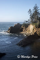 Waves, Cape Arago, OR