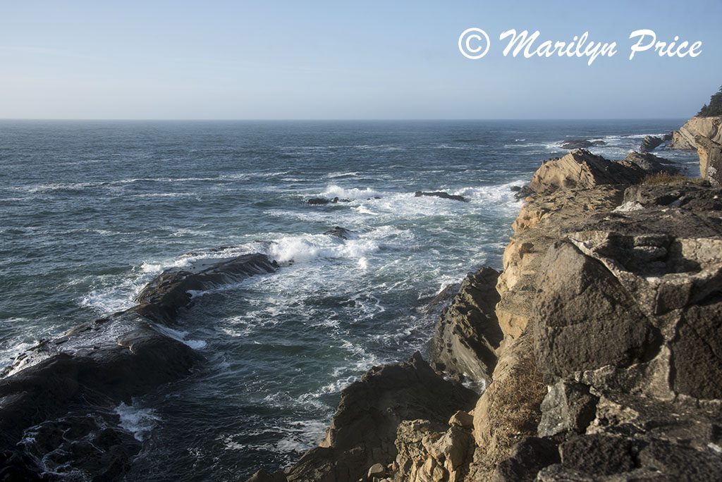 Waves, Cape Arago, OR