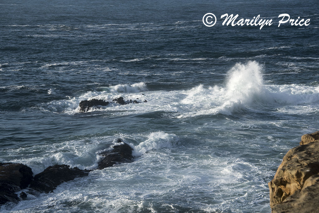 Waves, Cape Arago, OR