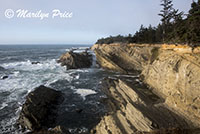 Waves, Cape Arago, OR