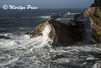 Waves, Cape Arago, OR