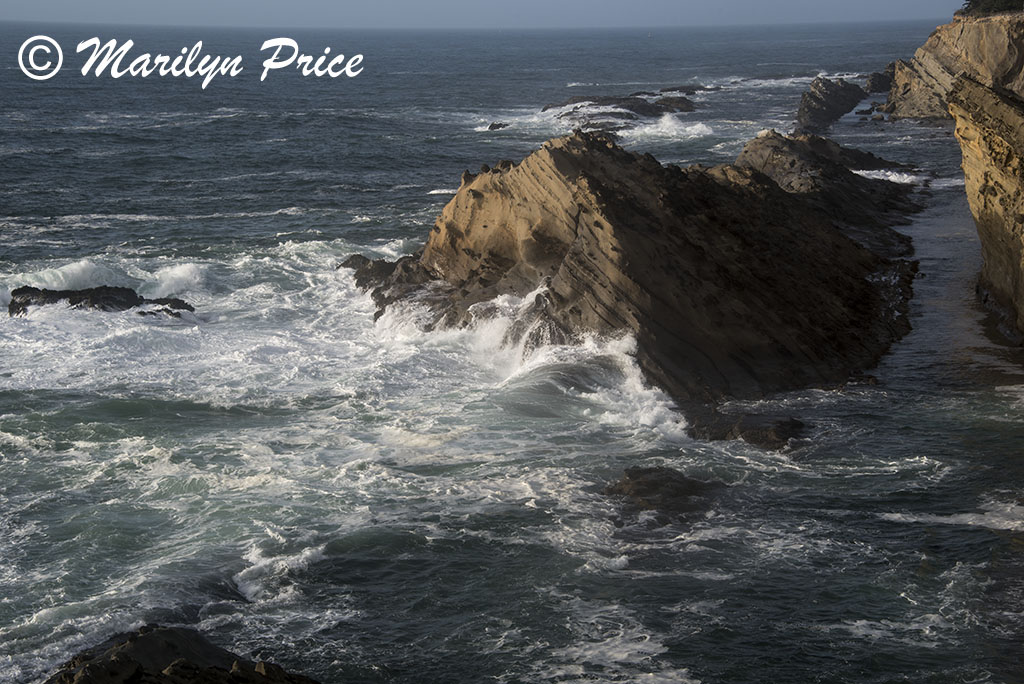 Waves, Cape Arago, OR