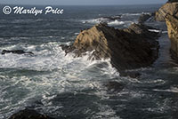 Waves, Cape Arago, OR