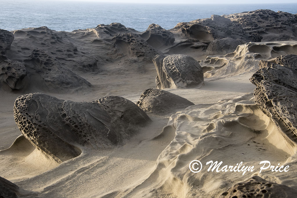 Sandstone carved by nature, Cape Arago, OR