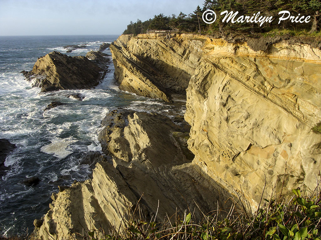 Waves, Cape Arago, OR
