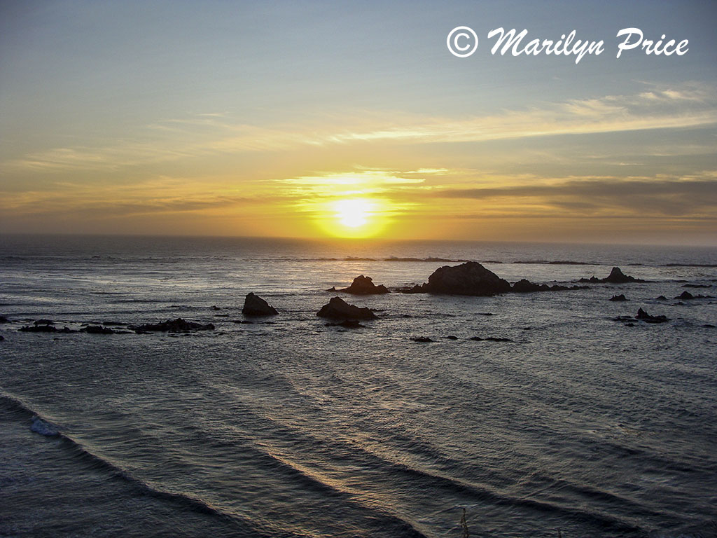 Sunset over the barking sea lions, Cape Arago, OR