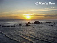 Sunset over the barking sea lions, Cape Arago, OR