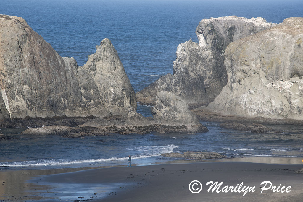 Sea stacks and waves, Coquille Point, Bandon, OR