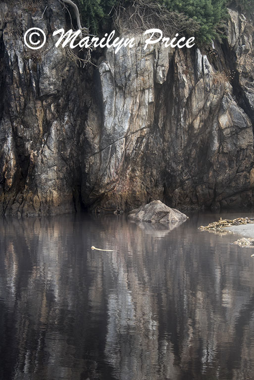 Sea stack reflected in a tide pool, Harris Beach, OR