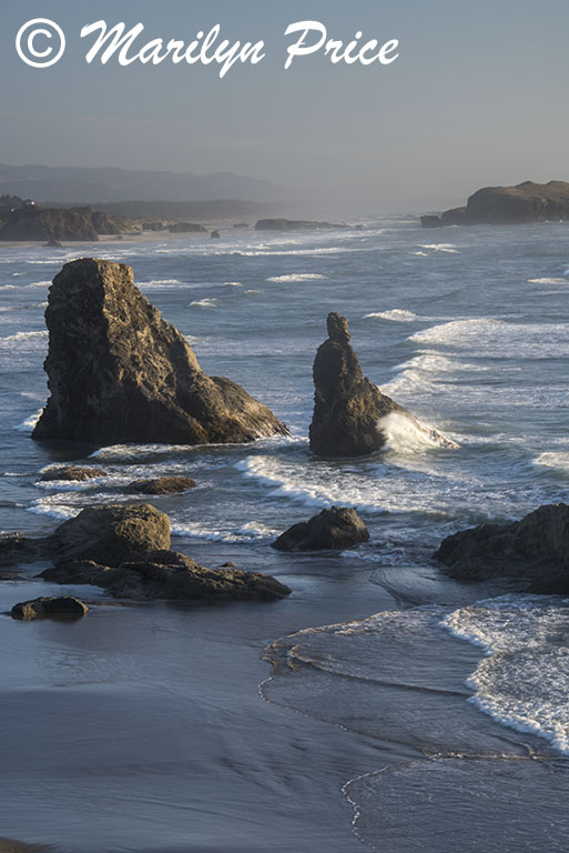 Sea stacks and waves, Face Rock Scenic Viewpoint, Bandon, OR