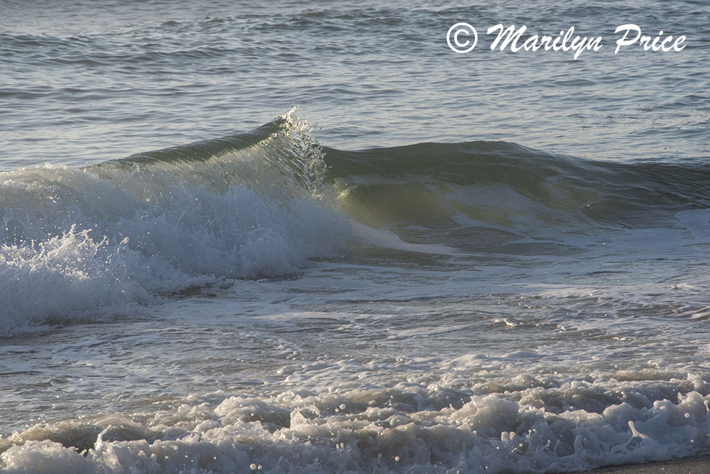Waves, South Jetty and Dunes, OR