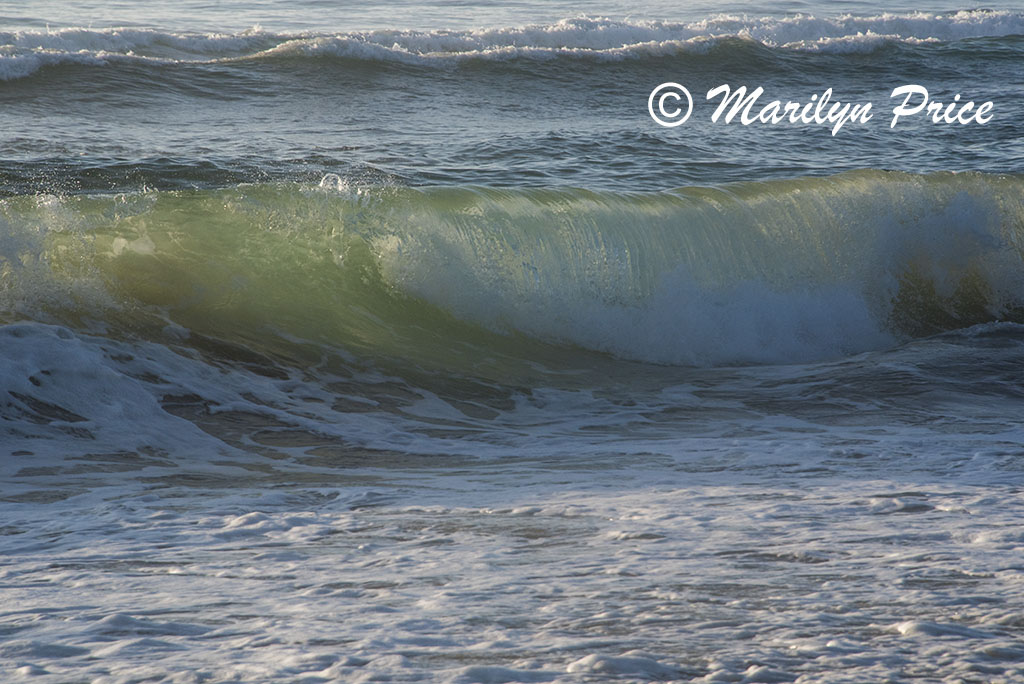 Waves, South Jetty and Dunes, OR