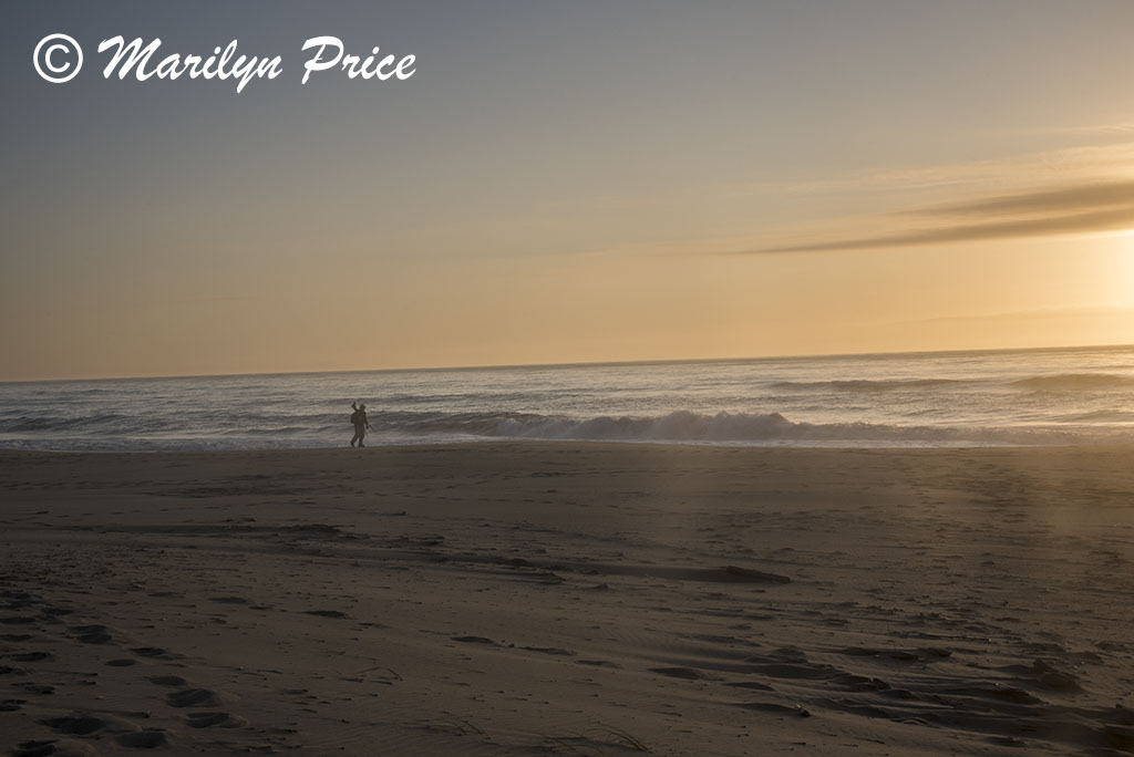 Sunset and waves, South Jetty and Dunes, OR