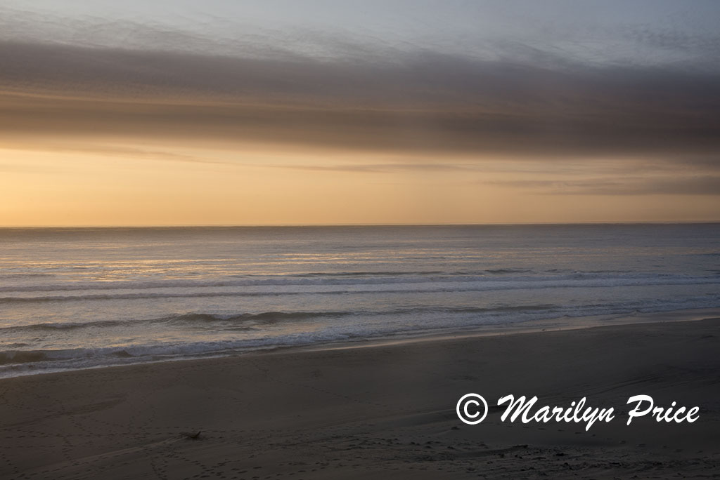 Sunset and waves, South Jetty and Dunes, OR
