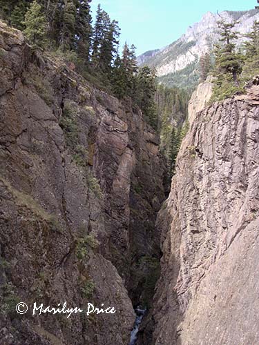 Box Canyon and Canyon Creek from Perimeter Trail, Ouray, CO