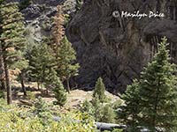 Climbing wall of the Ice Park, Ouray, CO