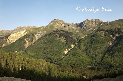 Mountains across the valley, Corkscrew Gulch, near Ouray, CO