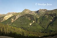 Mountains across the valley, Corkscrew Gulch, near Ouray, CO