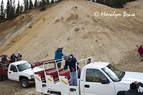 Our jeeps make a stop, Corkscrew Gulch, near Ouray, CO