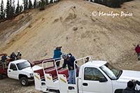 Our jeeps make a stop, Corkscrew Gulch, near Ouray, CO