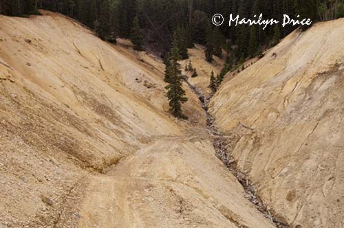 Mine tailings and the road, Corkscrew Gulch, near Ouray, CO