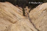 Mine tailings and the road, Corkscrew Gulch, near Ouray, CO