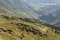 The road ahead, near Ouray, CO
