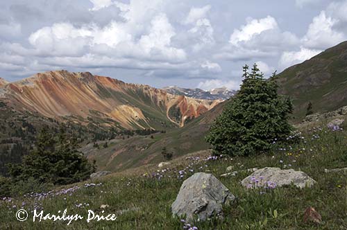 Red Mountain, near Ouray, CO
