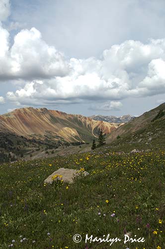 Red Mountain, near Ouray, CO