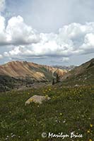 Red Mountain, near Ouray, CO
