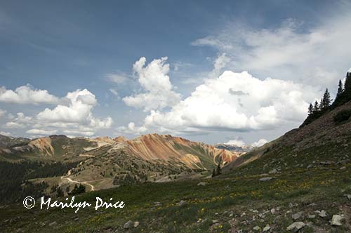 Red Mountain, near Ouray, CO