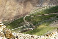View from California Pass, near Ouray, CO