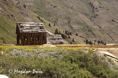 Old mining buildings, Animas Forks, near Ouray, CO