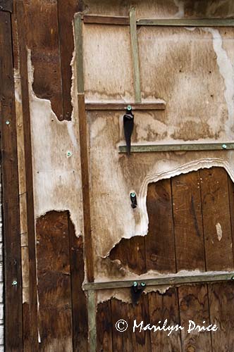 Side of an abandoned house, Ironton, CO
