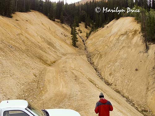 Don looks at the road ahead of us, Corkscrew Gulch, near Ouray, CO